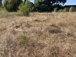 TERRAIN A BATIR AU BORN 945 m²