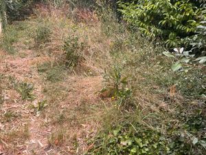 Vente terrain 400 m² Cadillac-sur-Garonne (33410)