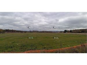 A VENDRE - Terrain de 10 000 m² à Gretz-Armainvilliers (77)