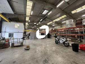 Location Local d'activités Templeuve En Pevele 59242