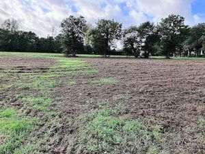 Vente Terrain à Andouillé-Neuville (35250) : à vendre / Andouillé-Neuville