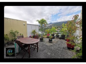 Bel appartement T4 Saint Denis