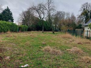 Location pature annuelle 400 euros