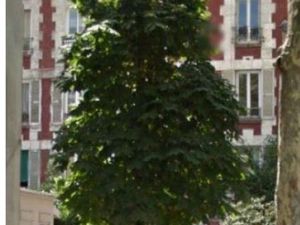 Loue T3 Boulogne Billancourt rénové