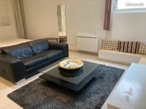 Loft 1 pièce 46 m²