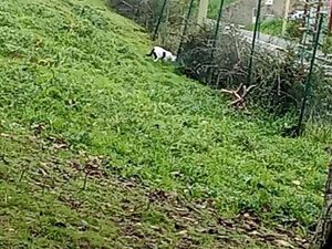 Recherche Location maison ou appartement