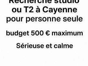 Bonjour  je recherche un studio ou un T2 à Cayenne pour personne seule  budget 500 maximum