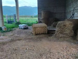 Hangar agricole à louer