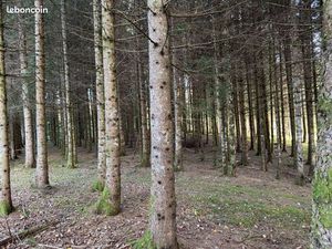 Parcelles forestières et agricoles
