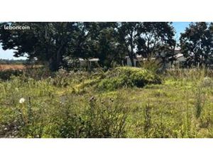 Terrain 750 m² Saint Didier Sur Chalaronne