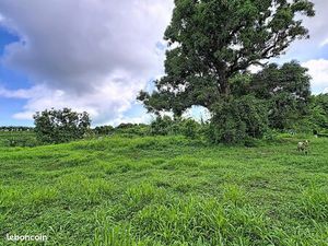 Terrain 1828 m² Trinité