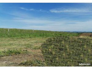 Terrain 812 m² Castanet