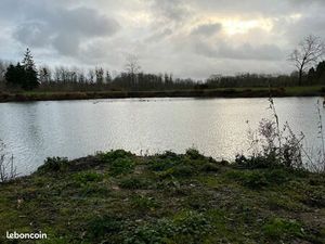 Terrain 2 8 hect + hutte