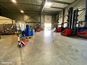 Local d'activité 554 m²