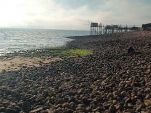 Recherche logement T2