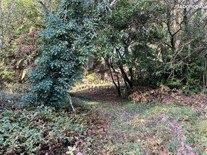 Terrain 5794 m² ST EPAIN