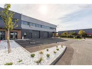 Local d'activité 339 m²