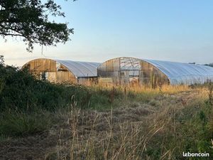 10 ha avec serres