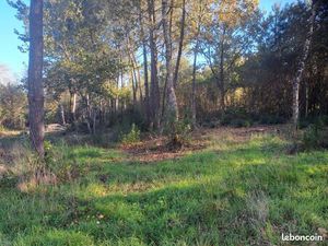 Forêt 3 658 m² Saint Sauveur