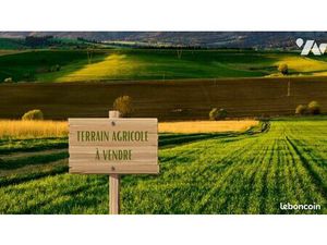 Terrain 10668 m² LE VIEUX MARCHE