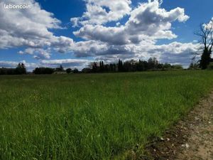 Terrain 806 m² Grignols