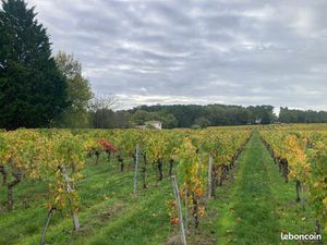 Terrain 1 500 m² Saint Sauveur De Puynormand