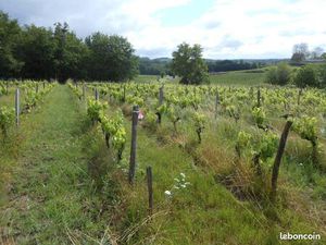 Parcelles agricole proche Samonac