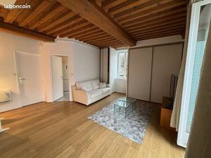 Beau T1 /meublé/libre