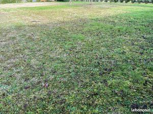 Terrain constructible