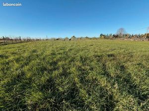 Terrain 560 m² Capian