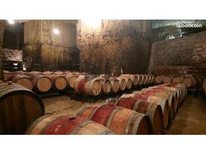 Cave 300 m² Beaumont En Veron