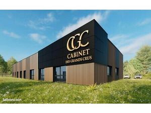 Local professionnel - Cabinet pour professions médicales et paramédicales - Nuits Saint Ge