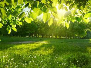 Terrain 1 341 m² Vertheuil