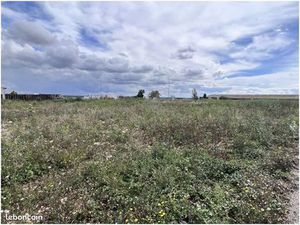 Terrain 1 200 m² Anais