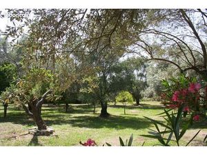 Particulier vend terrain constructible en Grèce à 5 mn de la mer