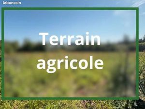 Terrain agricole