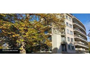 Face au Bois et au soleil