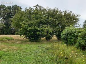 Terrain 600 m² Auros