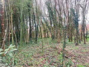 Terrain 1 085 m² Saint Yzan De Soudiac