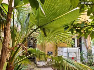 Maison de ville avec local commercial et studio