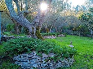 Maison campagne bonifacienne