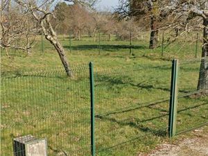 Terrain constructible viabilisé arboré