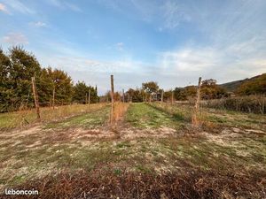 Vente de jardin Ille sur Têt