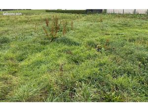 Terrain 1 300 m² Tregastel