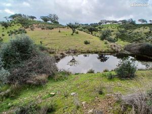 Recherche terrain agricole