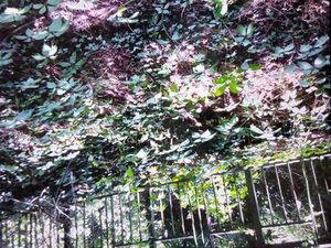 Bâtiment garage atelier 60 mètres +jardinet