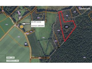 Bois Forêt parcelle boisée