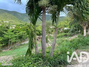 Terrain 2000 m² SAINT MARTIN