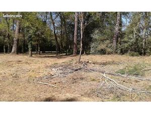 Terrain 850 m² Saucats