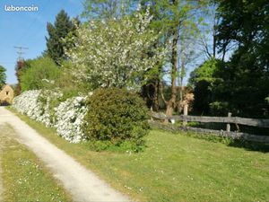 Terrain constructible de 2441m2